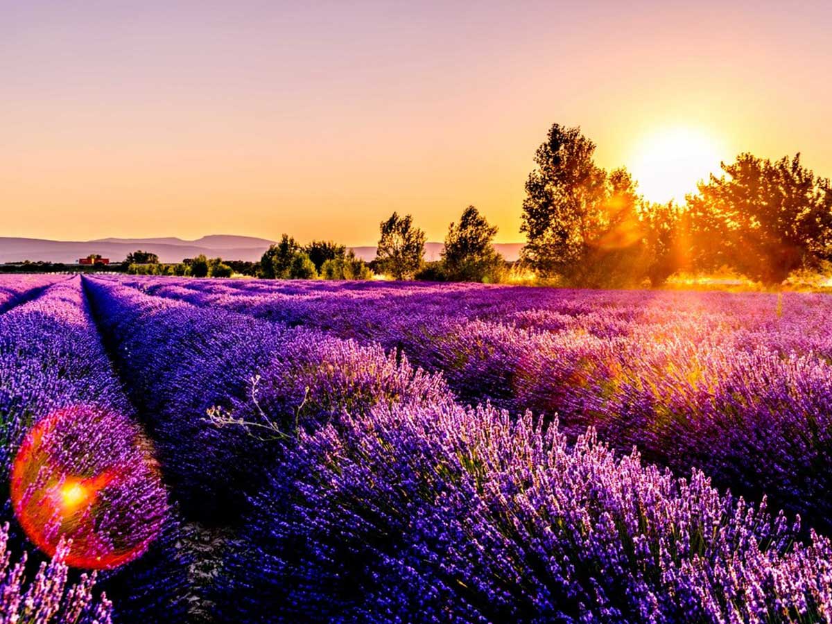 تاريخ الـ santons Provençal