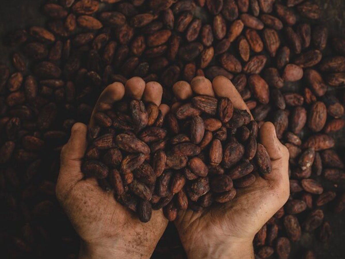 Il Salone del Cioccolato Torna a Parigi!