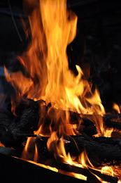 efficient energy|French living room|wood burner|wood burning stove