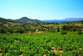 climate in the south of France|French Property|Prices of properties on French Riviera|Properties in Cote d'Azur