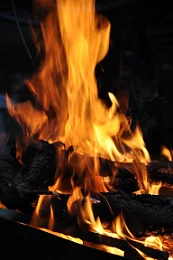 boiler|energy savings|French Property|fuel heating|logs|pellets|reduce consumtion|wood heating system
