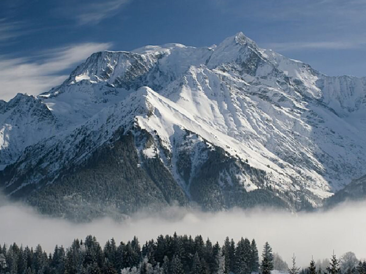 Aktivitäten im Januar in Frankreich