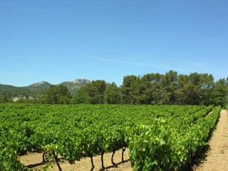 French vineyard properties|French vineyards