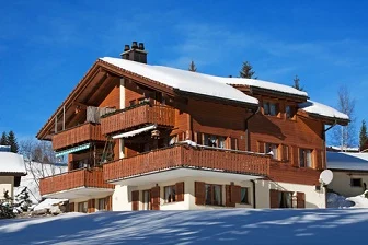 French Property|French ski resorts|property in the French Alps|ski properties