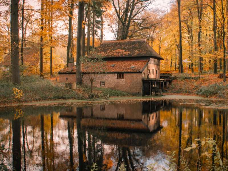 Old flour mill converted into bed and breakfast!