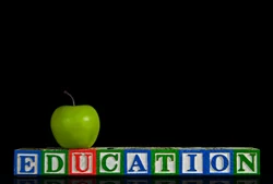 french school|French teaching system
