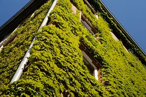 eco-renovation in france|French ecovation|green property|rainwater harvesting|solar panels in France
