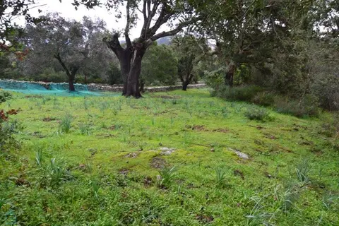 Photo of terrain · SOTTA