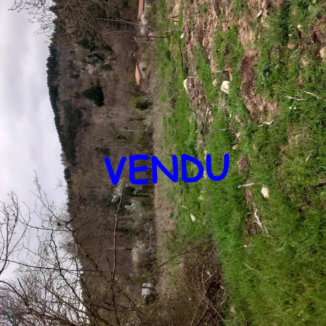 terrain constructible · THIERS