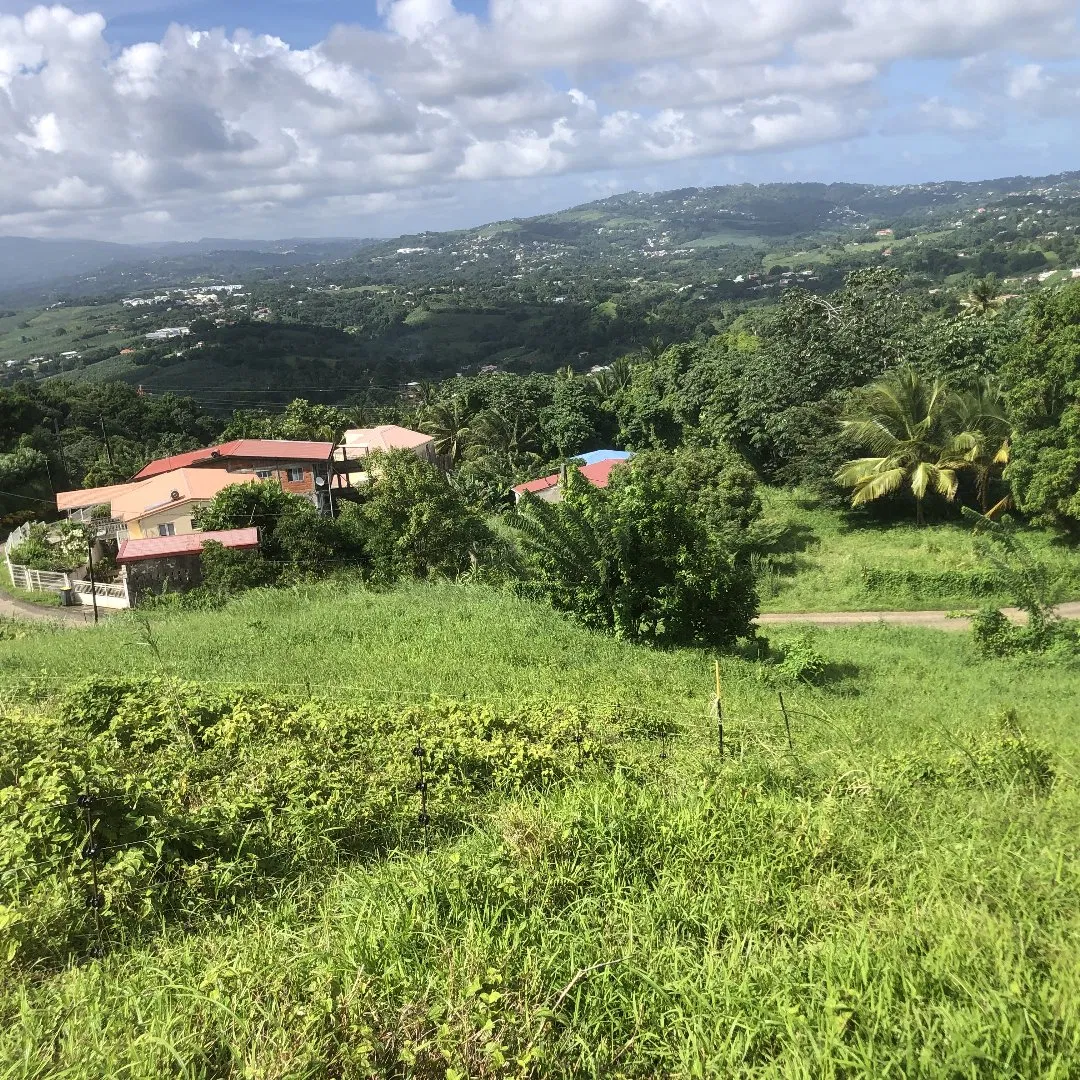 terrain constructible · LE LAMENTIN