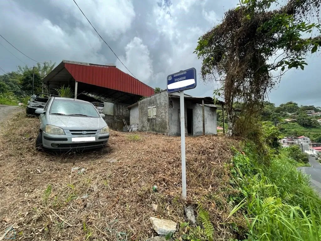 terrain a amenager · MORNE DES ESSES