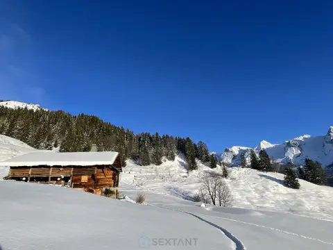 Photo of A rare Alpine Gem