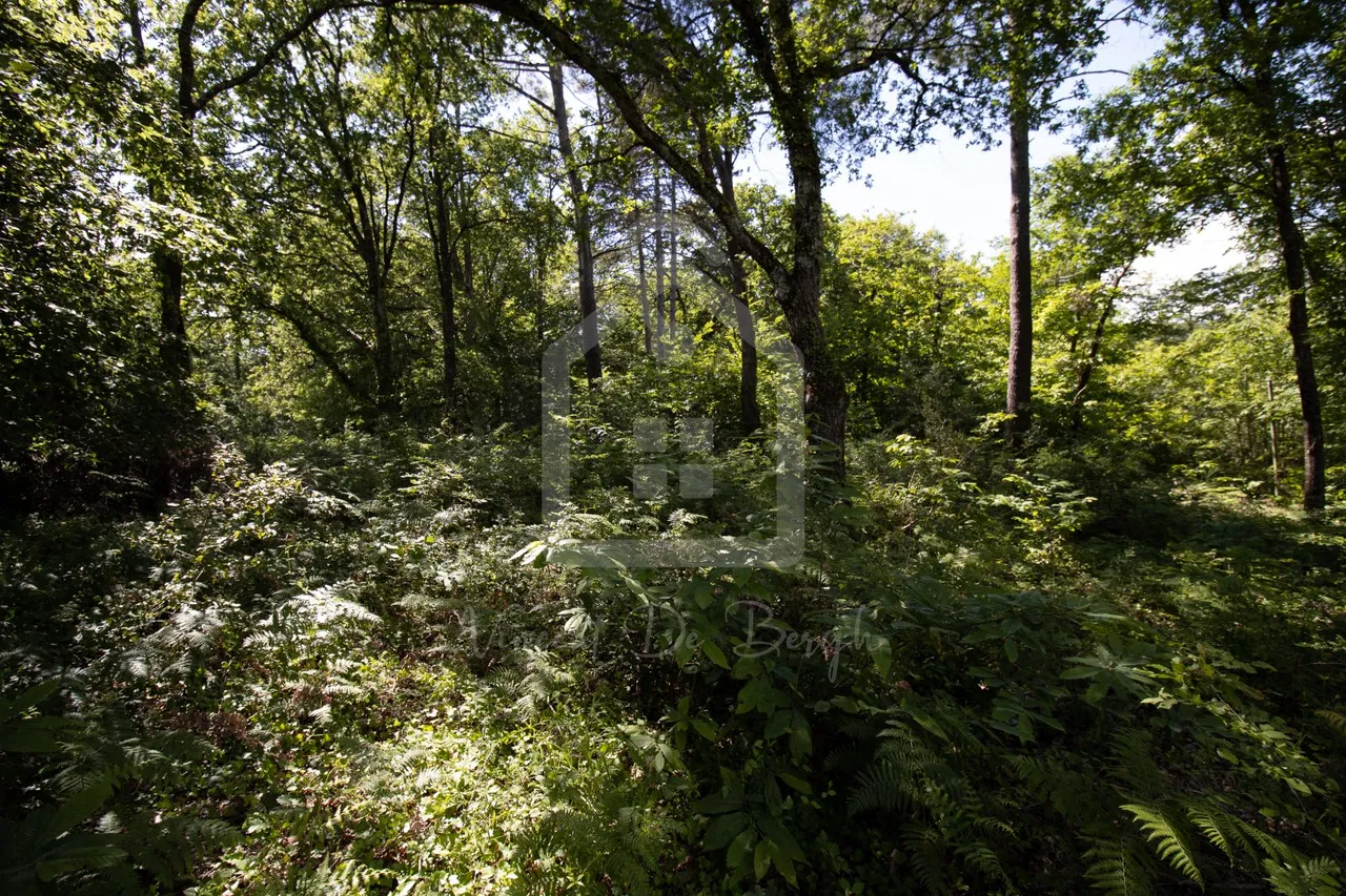 terrain constructible · GROLEJAC