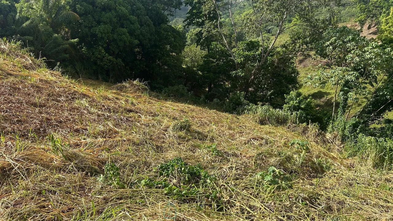 terrain constructible · RIVIERE SALEE