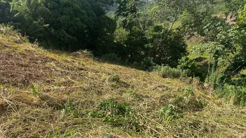 صورة لـ terrain constructible · RIVIERE SALEE