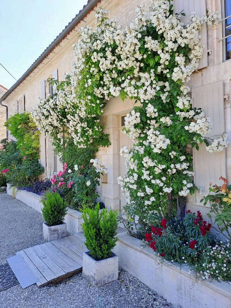 GERENOVEERDE CHARENTAISE VAN 210 M2 MET BINNENHOF EN KLEINE EN LEUKE TUIN