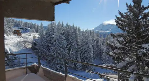 Foto van residence tourisme · CHAMROUSSE