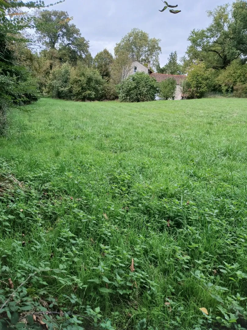 Terrain constructible