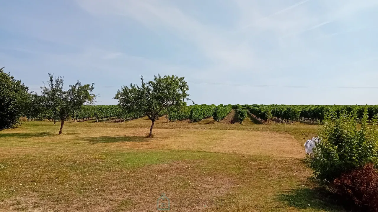 נכס עם 3 חדרי שינה וגן גדול פתוח