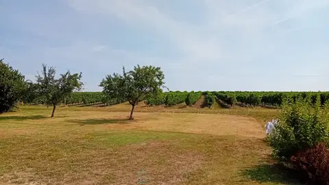 תמונה של נכס עם 3 חדרי שינה וגן גדול פתוח