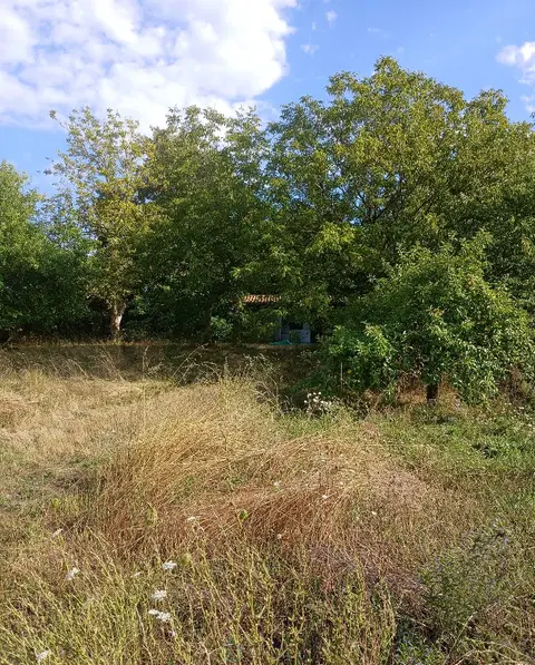 Foto de Terreno urbanizable