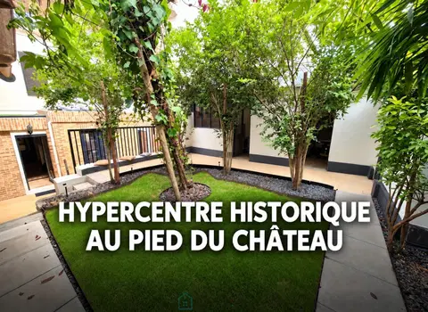 Photo of AMBOISE TOWN CENTRE - At the foot of the Castle, CASTLE VIEW - Character house 134m²
